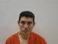 Booking photo of GONZALEZ FELISARDO