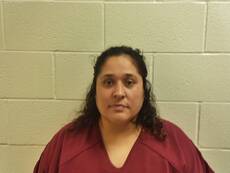 Booking photo of HENRIQUEZ FRANCISCA CAMARILLO