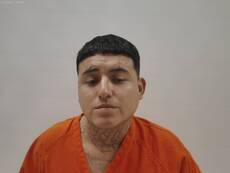 Booking photo of MARTINEZ SERGIO HERIBERTO