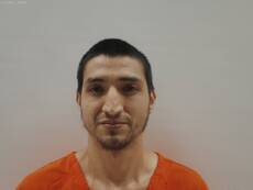 Booking photo of SALAZAR RICARDO
