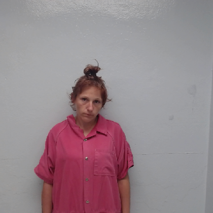 Booking photo of REED, AMBER ROSE