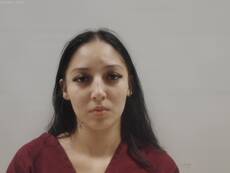 Booking photo of CARILLO LIZBETH VALENTINA