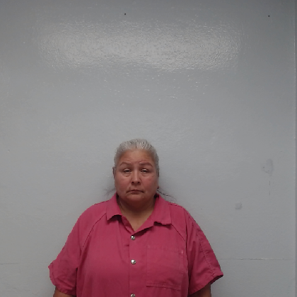 Booking photo of GONZALES, NELDA LEAL