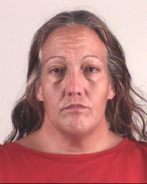 Booking photo of BRENNA CONWAY
