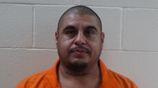 Booking photo of FLORES LEONEL
