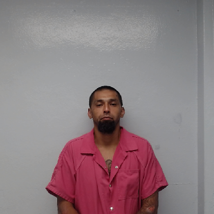 Booking photo of TREVINO, DANIEL