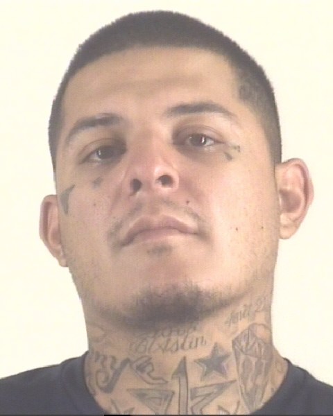 Booking photo of LUIS DELEON