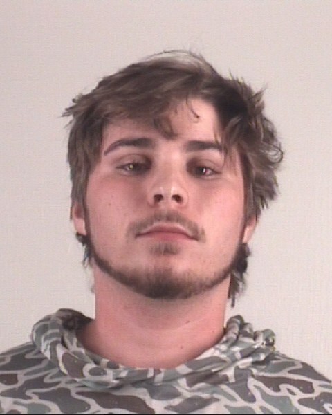 Booking photo of MORGAN FITZGERALD