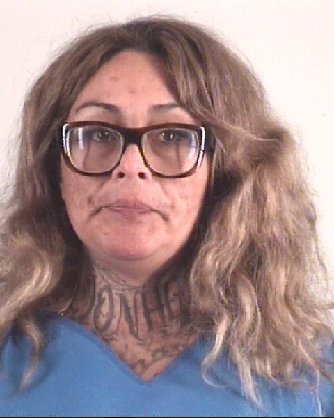Booking photo of ANNA TREJO