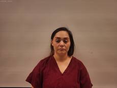 Booking photo of FLORES MONICA ALICIA