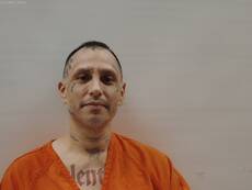 Booking photo of RAY HONORIO