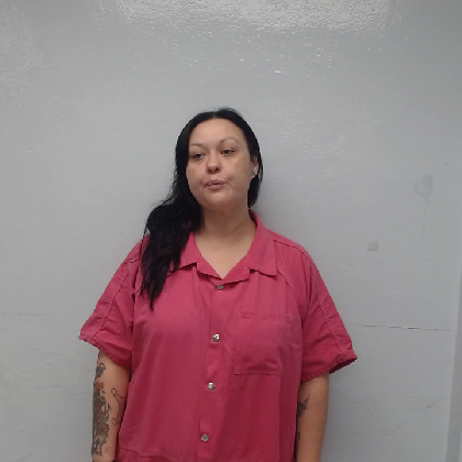 Booking photo of HERNANDEZ, VANESSA